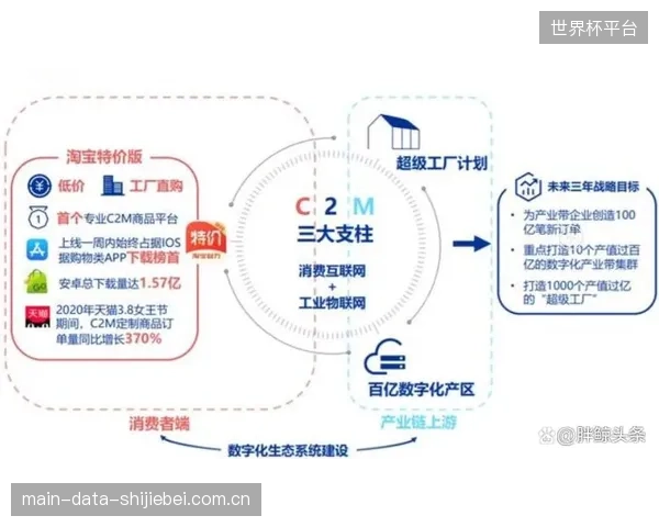 终极形态:2029年后,消费者可通过App提交个人参数,C2M工厂利用光电检测技术,按需生产完全个性化的微米级精度箭杆 终极形态:2029年后,消费者可通过App提交个人参数,C2M工厂利用光电检测技术,按需生产完全个性化的微米级精度箭杆